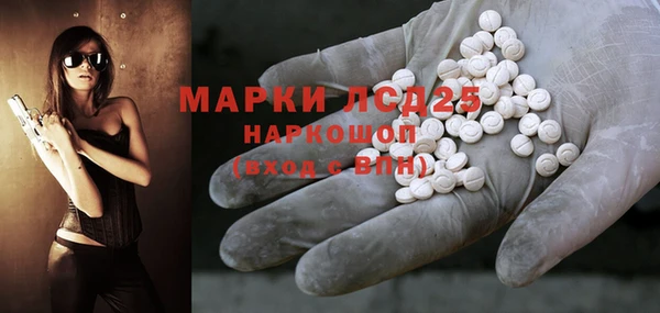 стафф Аркадак