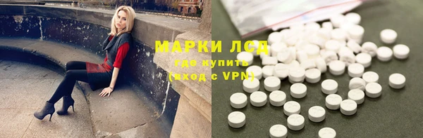 стафф Аркадак