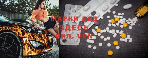 стафф Аркадак