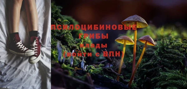 стафф Аркадак