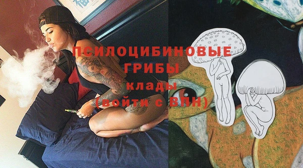 стафф Аркадак