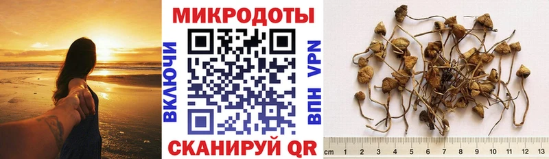 мориарти телеграм  Щигры  Псилоцибиновые грибы Magic Shrooms 