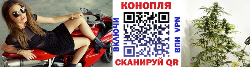 МАРИХУАНА White Widow  купить наркотик  Щигры 